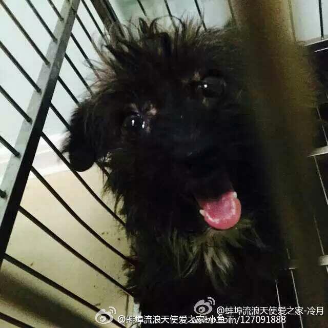 С