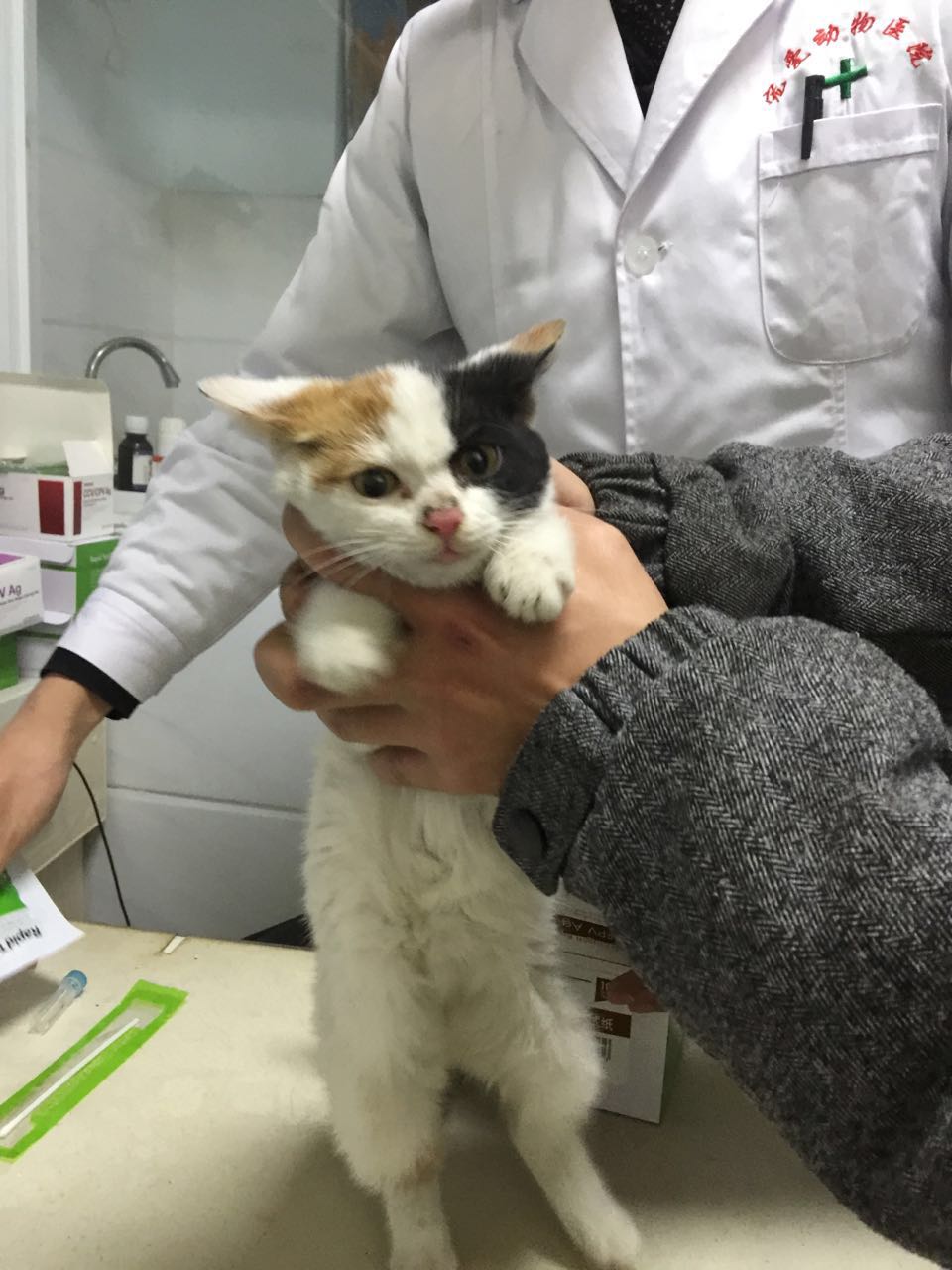  Ϣʾ
