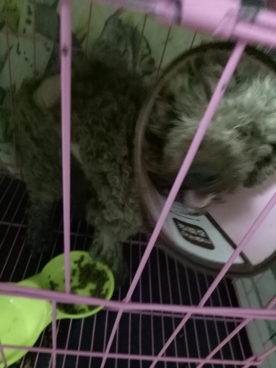 㳦 Ϣʾ