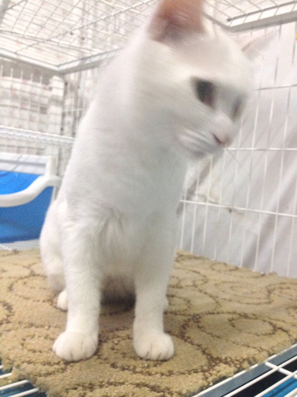  Ϣʾ