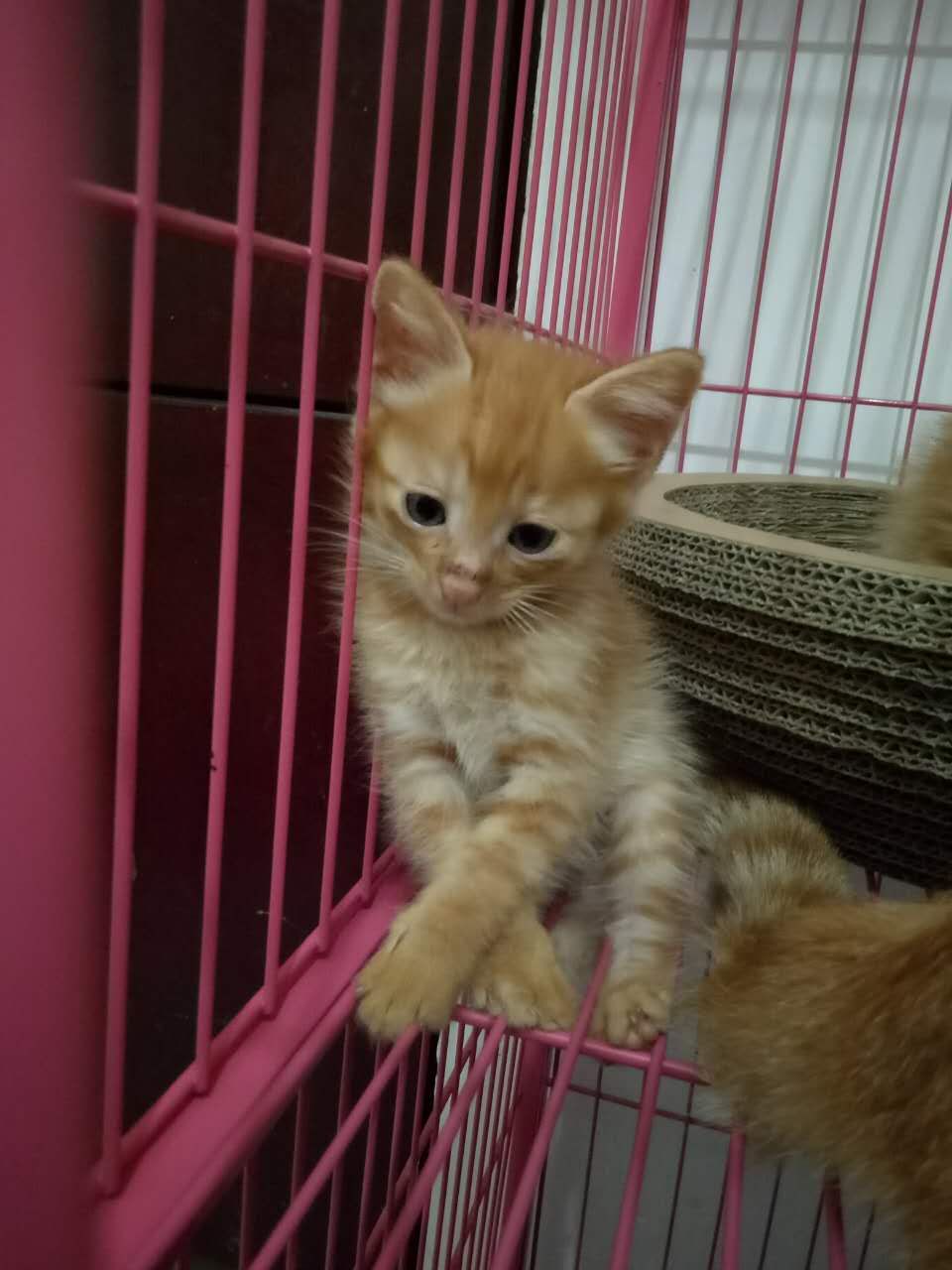  Ϣʾ