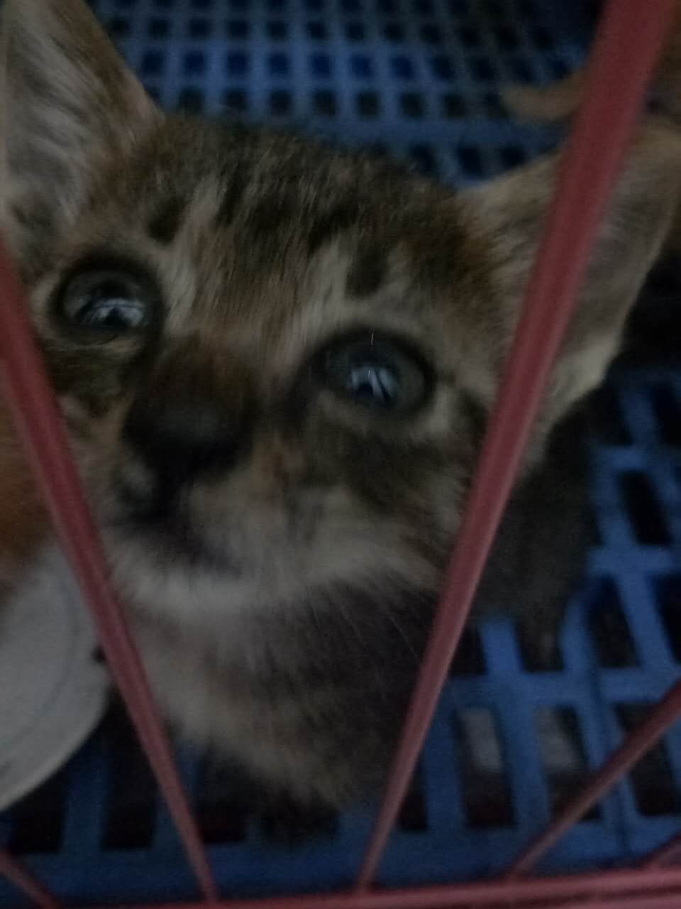 С Ϣʾ