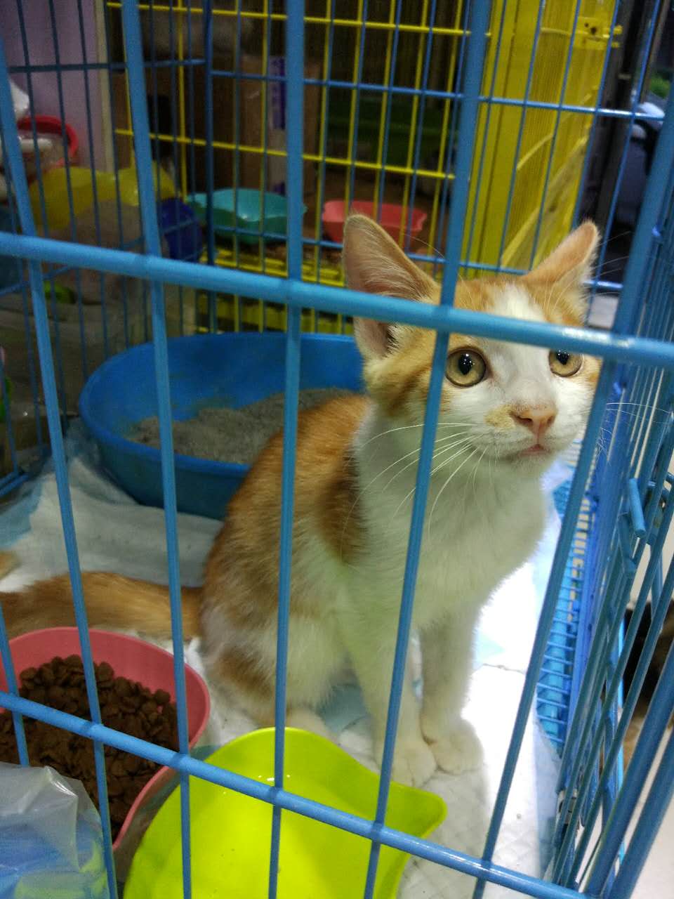  Ϣʾ