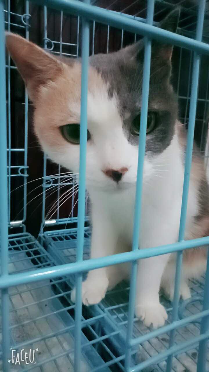 һ Ϣʾ