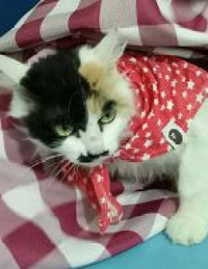  Ϣʾ