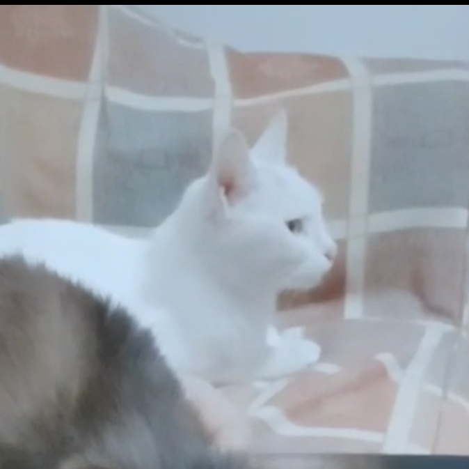 Сףè䣩 Ϣʾ