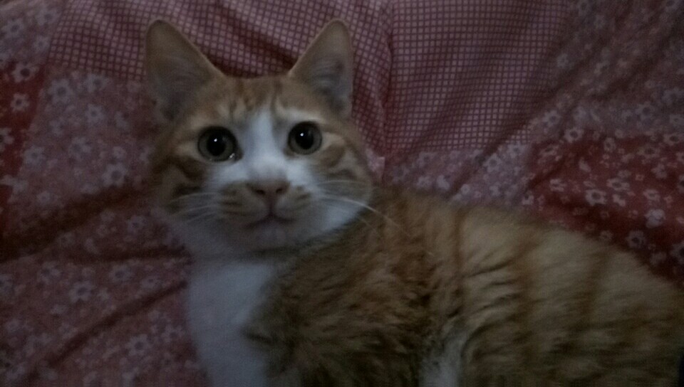 С