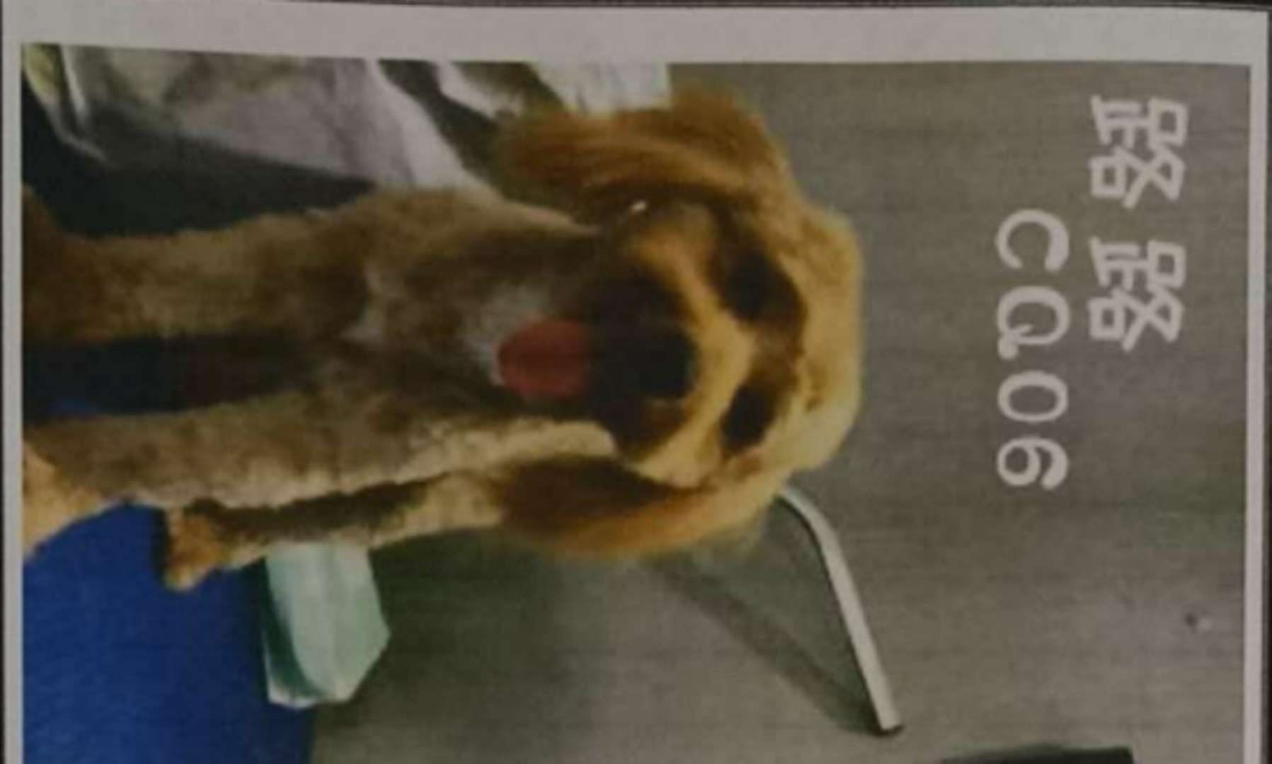 ··