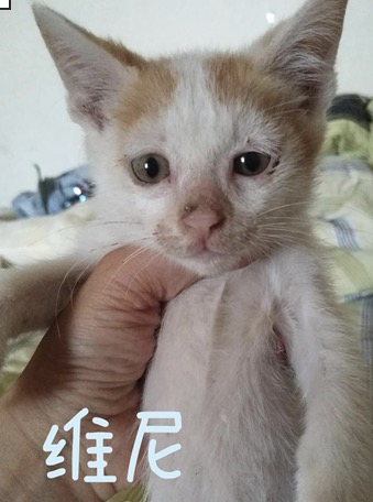 ά Ϣʾ